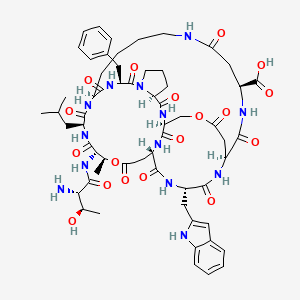 molecular formula C61H81N13O18 B10837773 H-Thr-aThr(1)-Leu-Lys(2)-Phe-Pro-Ser(3)-Glu(1)-Ala(indol-2-yl)-Asp(3)-Asp(2)-OH 