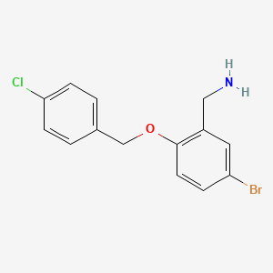 molecular formula C14H13BrClNO B10838158 (2-(4-Chlorobenzyloxy)-5-bromophenyl)methanamine 