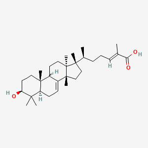 molecular formula C31H50O3 B10838191 (24E)-3beta-hydroxy-7,24-euphadien-26-oic acid 