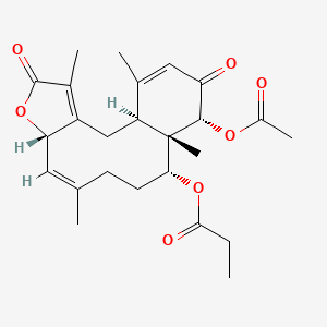 molecular formula C25H32O7 B10846751 Anthoptilide C 
