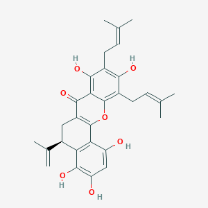 molecular formula C30H32O7 B10846830 Artorigidin A 