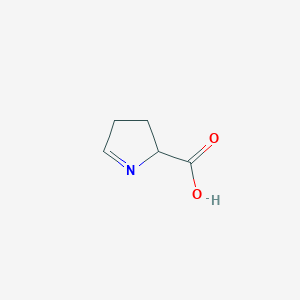 Pyrroline-5-carboxylate