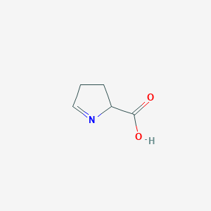 molecular formula C5H7NO2 B108470 3,4-dihydro-2H-pyrrole-2-carboxylic acid CAS No. 2906-39-0