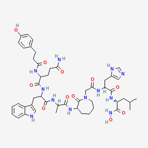 molecular formula C48H64N12O11 B10849558 N-[1-[[1-[[1-[2-[[1-[[(2R)-1-(hydroxyamino)-4-methyl-1-oxopentan-2-yl]amino]-3-(1H-imidazol-5-yl)-1-oxopropan-2-yl]amino]-2-oxoethyl]-2-oxoazepan-3-yl]amino]-1-oxopropan-2-yl]amino]-3-(1H-indol-3-yl)-1-oxopropan-2-yl]-2-[3-(4-hydroxyphenyl)propanoylamino]pentanediamide 