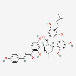 molecular formula C40H38O9 B10850009 kuwanon R 