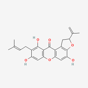 molecular formula C23H22O6 B10850303 Mangostenone G 
