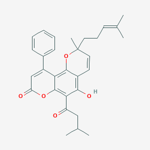 molecular formula C30H32O5 B10850399 Mesuagenin A 