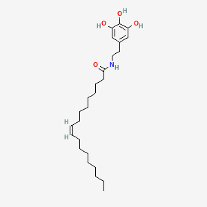 molecular formula C26H43NO4 B10850885 N-(3,4,5-trihydroxyphenethyl)oleamide 