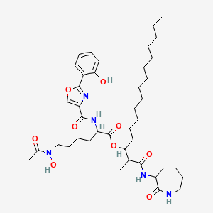molecular formula C41H63N5O9 B10852049 Noccardimicin E 