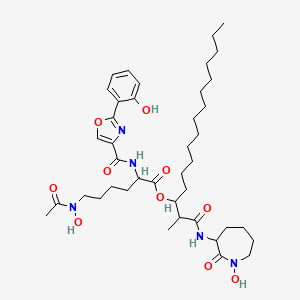 molecular formula C41H63N5O10 B10852054 nocardimicin D 