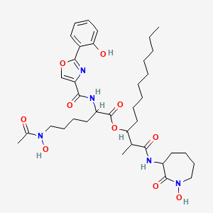 molecular formula C37H55N5O10 B10852060 Nocardimicin A 