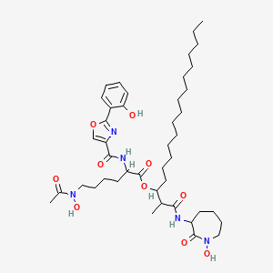 molecular formula C43H67N5O10 B10852074 Nocardimicin F 