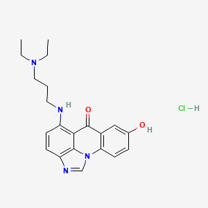 molecular formula C21H25ClN4O2 B10852222 10-[3-(Diethylamino)propylamino]-5-hydroxy-1,14-diazatetracyclo[7.6.1.02,7.013,16]hexadeca-2(7),3,5,9,11,13(16),14-heptaen-8-one;hydrochloride 