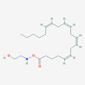 molecular formula C22H37NO3 B10852351 O-arachidonoyl-N-(2-hydroxyethyl)hydroxylamine 