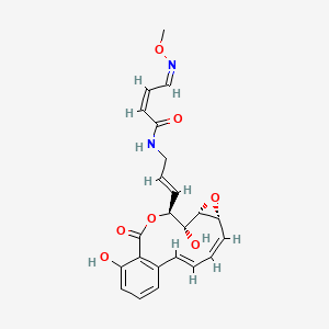 molecular formula C23H24N2O7 B10852496 Oximidine I 
