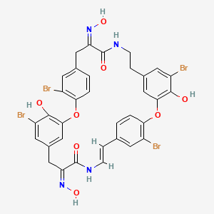 molecular formula C34H26Br4N4O8 B10852687 (12Z,25Z,28E)-5,16,21,32-tetrabromo-4,20-dihydroxy-12,25-bis(hydroxyimino)-2,18-dioxa-10,27-diazapentacyclo[28.2.2.214,17.13,7.119,23]octatriaconta-1(32),3,5,7(38),14,16,19,21,23(35),28,30,33,36-tridecaene-11,26-dione 