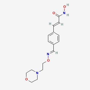 molecular formula C16H21N3O4 B10853351 N-hydroxy-3-(4-((2-morpholinoethoxyimino)methyl)phenyl)acrylamide 
