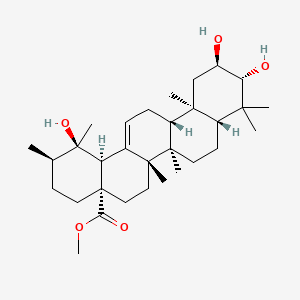 molecular formula C31H50O5 B10853502 Tormentic acid methyl ester 