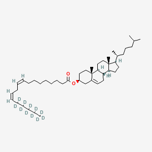 molecular formula C45H76O2 B10854078 Cholesteryl Linoleate-d11 