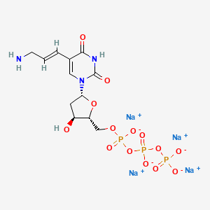 molecular formula C12H16N3Na4O14P3 B10854117 5-(3-Aminoallyl)-2'-deoxyuridine-5'-O-triphosphate (sodium salt) 