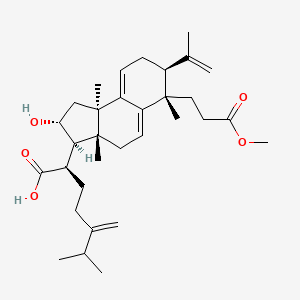 molecular formula C32H48O5 B10855555 poricoic acid AM 