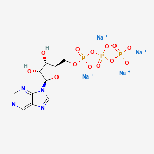 molecular formula C10H11N4Na4O13P3 B10855749 Purine riboside-5'-O-triphosphate (sodium salt) 