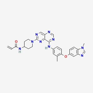 molecular formula C29H29N9O2 B10856216 Zongertinib CAS No. 2728667-27-2