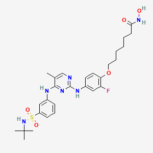 molecular formula C28H37FN6O5S B10856420 7-(4-((4-((3-(N-(tert-Butyl)sulfamoyl)phenyl)amino)-5-methylpyrimidin-2-yl)amino)-2-fluorophenoxy)-N-hydroxyheptanamide 