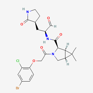 molecular formula C23H27BrClN3O5 B10856624 (1R,2R,5S)-3-[2-(4-bromo-2-chlorophenoxy)acetyl]-6,6-dimethyl-N-[(2S)-1-oxo-3-[(3S)-2-oxopyrrolidin-3-yl]propan-2-yl]-3-azabicyclo[3.1.0]hexane-2-carboxamide 
