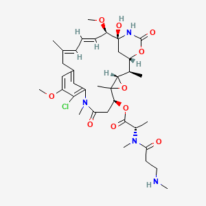 molecular formula C36H51ClN4O10 B10857097 Maytansinoid B 