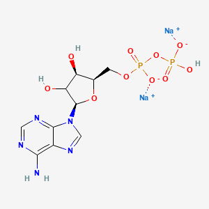 molecular formula C10H13N5Na2O10P2 B10857498 Adenosine 5'-diphosphate (disodium) 
