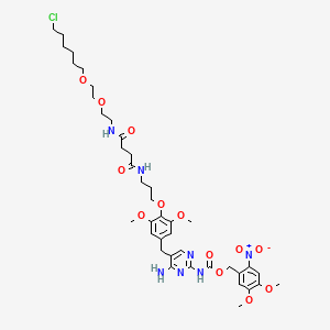 molecular formula C40H56ClN7O13 B10857641 NVOC cage-TMP-Halo 