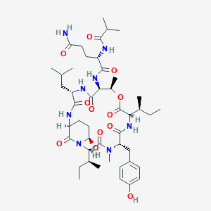 molecular formula C46H72N8O12 B10860911 LM-030 CAS No. 1122484-55-2