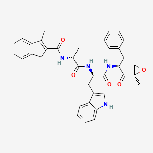 molecular formula C37H38N4O5 B10861812 (R)-PR-924 