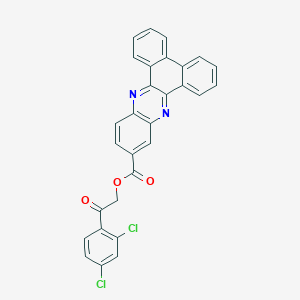 molecular formula C29H16Cl2N2O3 B10883549 2-(2,4-Dichlorophenyl)-2-oxoethyl dibenzo[a,c]phenazine-11-carboxylate 