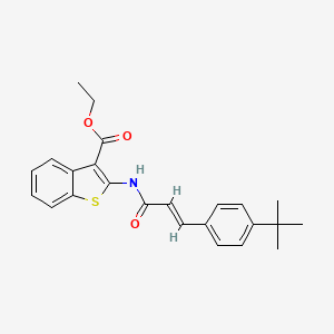 molecular formula C24H25NO3S B10889436 ethyl 2-{[(2E)-3-(4-tert-butylphenyl)prop-2-enoyl]amino}-1-benzothiophene-3-carboxylate 