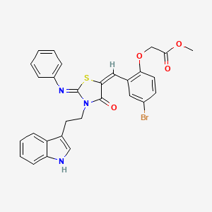 molecular formula C29H24BrN3O4S B10889519 methyl (4-bromo-2-{(E)-[(2Z)-3-[2-(1H-indol-3-yl)ethyl]-4-oxo-2-(phenylimino)-1,3-thiazolidin-5-ylidene]methyl}phenoxy)acetate 