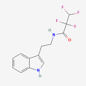 molecular formula C13H12F4N2O B10891112 2,2,3,3-tetrafluoro-N-[2-(1H-indol-3-yl)ethyl]propanamide 
