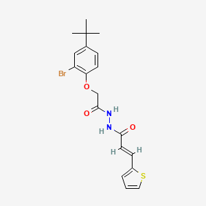 molecular formula C19H21BrN2O3S B10893652 N'-[(2-bromo-4-tert-butylphenoxy)acetyl]-3-(2-thienyl)acrylohydrazide 