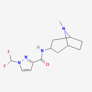 molecular formula C13H18F2N4O B10894323 1-(difluoromethyl)-N-(8-methyl-8-azabicyclo[3.2.1]oct-3-yl)-1H-pyrazole-3-carboxamide 