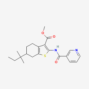 molecular formula C21H26N2O3S B10895873 Methyl 6-(2-methylbutan-2-yl)-2-[(pyridin-3-ylcarbonyl)amino]-4,5,6,7-tetrahydro-1-benzothiophene-3-carboxylate 