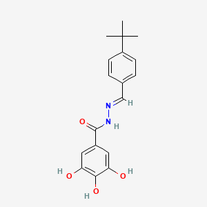 molecular formula C18H20N2O4 B10901054 N'-[(E)-(4-tert-butylphenyl)methylidene]-3,4,5-trihydroxybenzohydrazide 