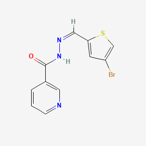 molecular formula C11H8BrN3OS B10902386 N'-[(Z)-(4-bromothiophen-2-yl)methylidene]pyridine-3-carbohydrazide 