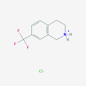 molecular formula C10H11ClF3N B109051 7-(三氟甲基)-1,2,3,4-四氢异喹啉盐酸盐 CAS No. 220247-87-0