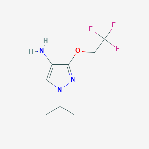 molecular formula C8H12F3N3O B10905339 1-(propan-2-yl)-3-(2,2,2-trifluoroethoxy)-1H-pyrazol-4-amine 