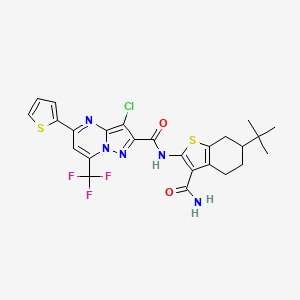 molecular formula C25H23ClF3N5O2S2 B10906064 N-(6-tert-butyl-3-carbamoyl-4,5,6,7-tetrahydro-1-benzothiophen-2-yl)-3-chloro-5-(thiophen-2-yl)-7-(trifluoromethyl)pyrazolo[1,5-a]pyrimidine-2-carboxamide 