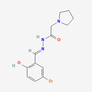 molecular formula C13H16BrN3O2 B10906323 N'-[(E)-(5-bromo-2-hydroxyphenyl)methylidene]-2-(pyrrolidin-1-yl)acetohydrazide 