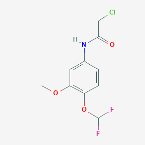 molecular formula C10H10ClF2NO3 B10921499 2-Chloro-N-(4-difluoromethoxy-3-methoxy-phenyl)-acetamide 