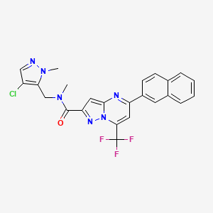 molecular formula C24H18ClF3N6O B10935949 N-[(4-chloro-1-methyl-1H-pyrazol-5-yl)methyl]-N-methyl-5-(naphthalen-2-yl)-7-(trifluoromethyl)pyrazolo[1,5-a]pyrimidine-2-carboxamide 