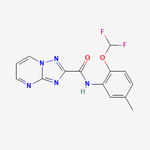 molecular formula C14H11F2N5O2 B10938699 N-[2-(difluoromethoxy)-5-methylphenyl][1,2,4]triazolo[1,5-a]pyrimidine-2-carboxamide 
